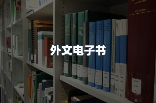 外文电子书